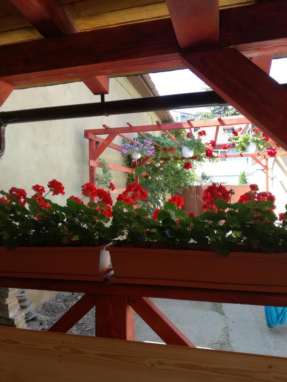בראשוב Apartament Roza מראה חיצוני תמונה